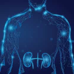 10 Highly Rated Urologist in the World by Patients